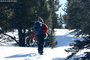 Photo by Linda Pilarski